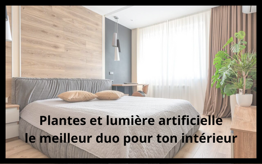 Plantes et lumière artificielle en décoration interieur