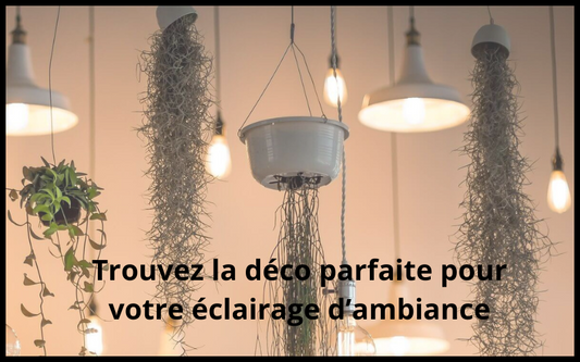 Éclairage d'Ambiance : 5 Astuces & Produits