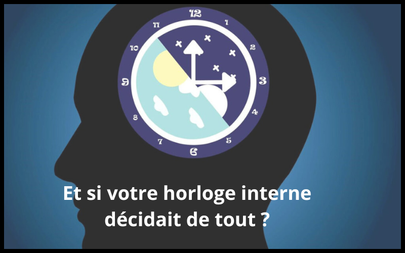 Rythmes circadiens : Comprendre, respecter et optimiser votre horloge biologique